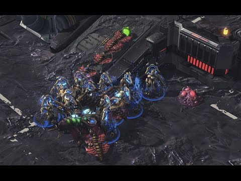 2-Oracle + 12 Gladept PvZ Timing - Neeb vs Nerchio - The PiG Daily #170