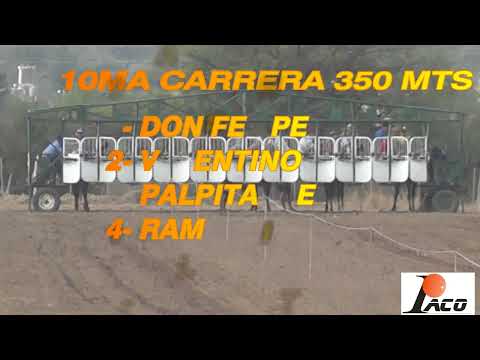 DON FELIPE HIPODROMO LA HECHICERA CRUZ DEL EJE 24 7 2022