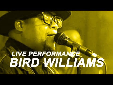 Bird Williams Live Performance #liveperformance