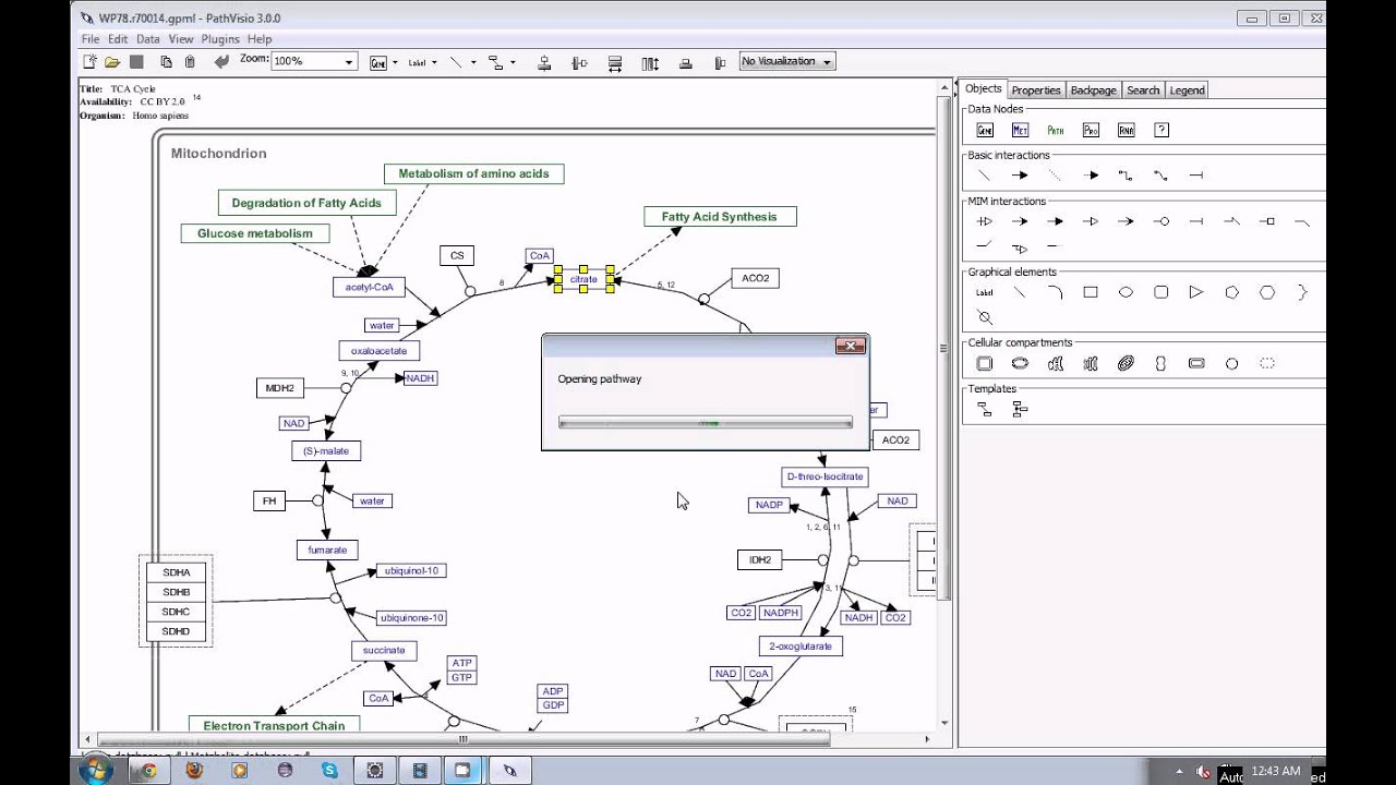 Find pathways containing specific pathway element