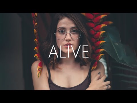 Outwild - Alive (Lyrics) feat. Meggie York