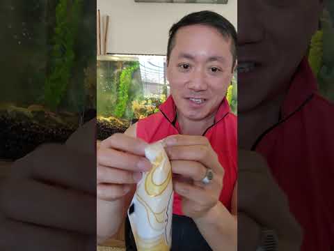 Haagen-Dazs Vanilla Milk Chocolate Ice Cream Bar Review