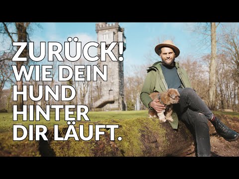 Zurück! Wie Dein HUND hinter Dir läuft! | Folge#11 Gassi mit Masih