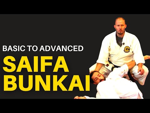 Saifa Bunkai: Basic to Advanced for Goju Ryu