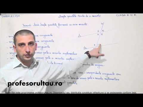 secanta drepte exemple - profesorultau.ro