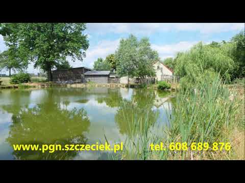 PGN -  dom, Silnowo gm. Borne Sulinowo (0504993)