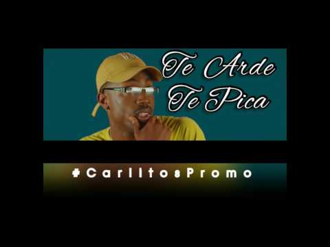 Wildey - Te Arde Te Pica (Audio Oficial)