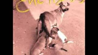 Los Enemigos- Sin Hueso