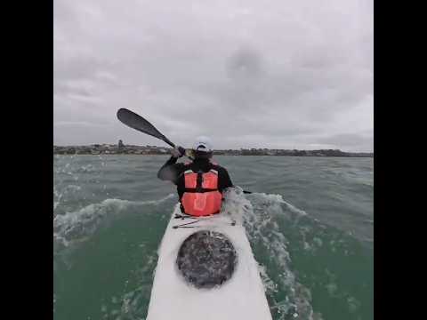 Very choppy sea! #surfski #choppy #downwind #newzealand