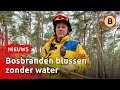 Speciaal team gaat vanaf deze zomer bosbranden blussen | Omroep Brabant