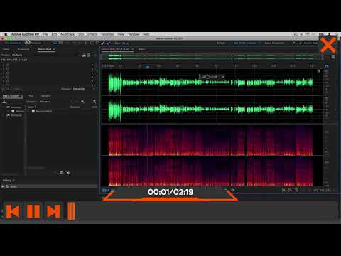 Beginners Guide For Audition C Video