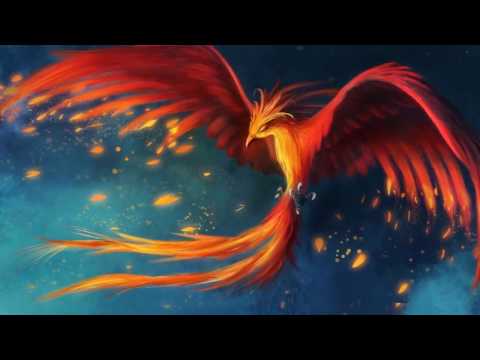 Fênix video