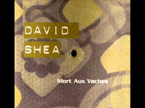 David Shea - Alpha II [VPRO live version]