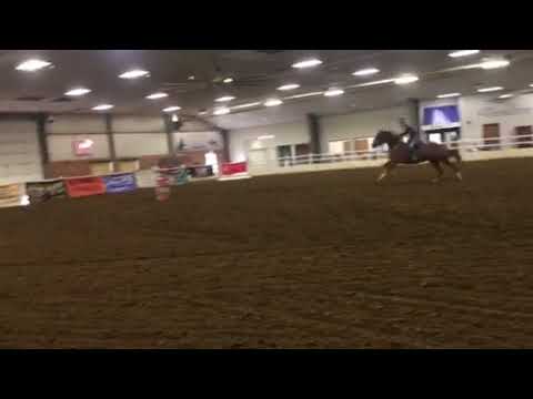 Barrel Bash Cedar Rapids 2019