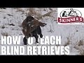 Gundog training tips - Teaching the blind retrieve