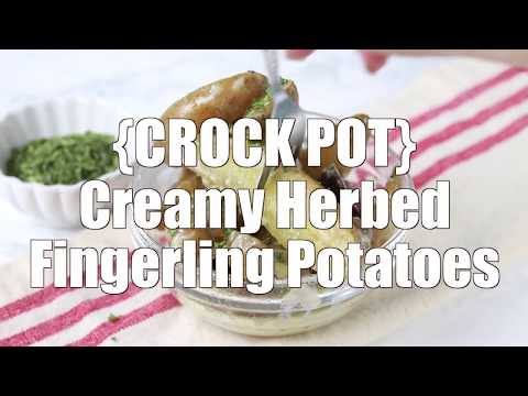 download lagu mp3 mp4 Fingerling Potatoes Slow Cooker, download lagu Fingerling Potatoes Slow Cooker gratis, unduh video klip Fingerling Potatoes Slow Cooker