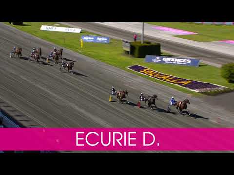 Välkommen till Elitloppet 2021 - Ecurie D.!