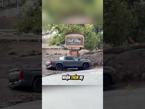 Đừng bao giờ xem trọng ô tô hơn tính mạng của bản thân