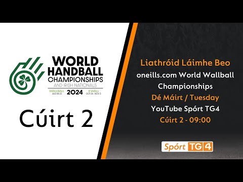 Day 3 - Court 2 | oneills.com World Wallball Championship | Liathróid Láimhe Beo
