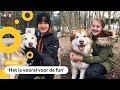 Luke en Iris kunnen racen met honden