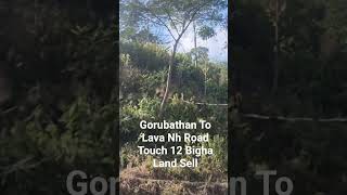  Residential Plot for Sale in Lava, Kalimpong