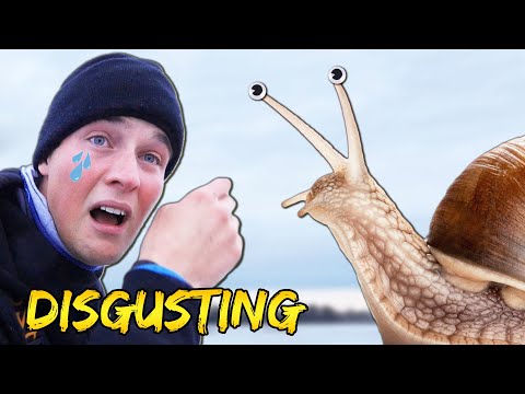 PENALTY FISHING - Loser Must Eat Snails | Team Galant