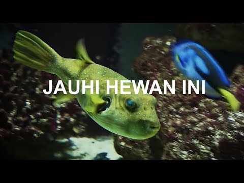 Bagaimana menaikkan anggota untuk impotensi Mengobati metode tradisional potensi untuk pria