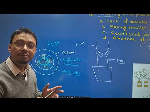 CEE 2081 MEMORY BASED QUESTIONS; Part :22 (UNIT: PLANT PHYSIOLOGY AND ANATOMY)