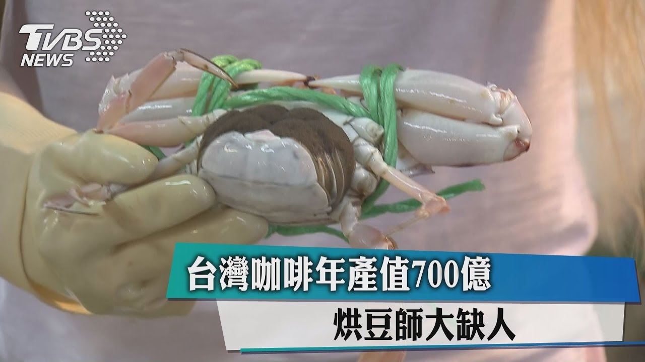 響應保育萬里蟹 8月16日起禁捕抱卵母蟹
