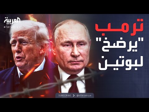 فيديو | بوتين وترمب.. "مكالمة صريحة" تصدم زيلينسكي