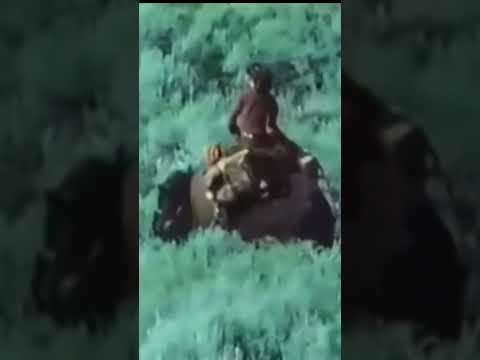 Tribute to Bill Brasky & Guy on a Buffalo with Turkish Delight #funny #old #snl #shorts