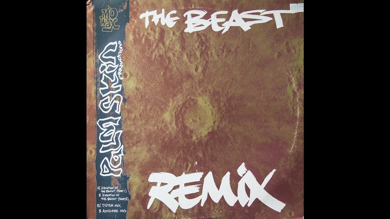 Palm Skin Productions - The Beast (Autechre Mix) (vinyl)