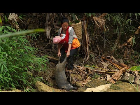 Life of a 17-Year-Old Single Mother - Unlucky Wild Boars & Raising Ducks