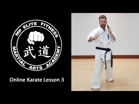 Karate Online Lesson 3 - MPEF Martial Arts Academy