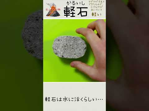薬学科 軽石