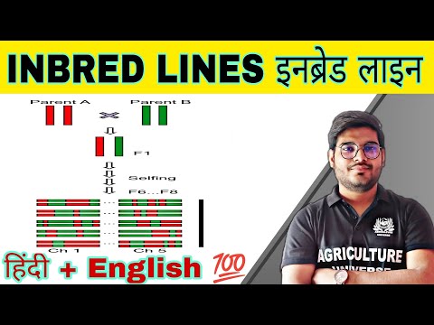 defination allopolyploid allopolyploid kya hai allopolyploid in hindi what is allopolyploid