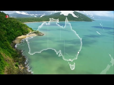 Australiens Nationalparks4/5 - Der Regenwald