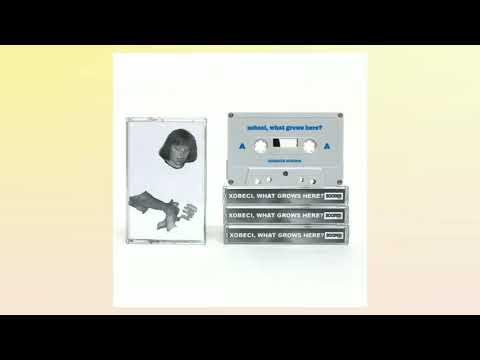 download lagu mp3 mp4 Miranda Winters, download lagu Miranda Winters gratis, unduh video klip Miranda Winters