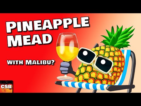 One Year Old Pineapple Mead - Yeah, she added Malibu...