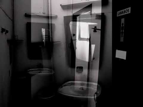 ASBAAR - The Hidden Beetle