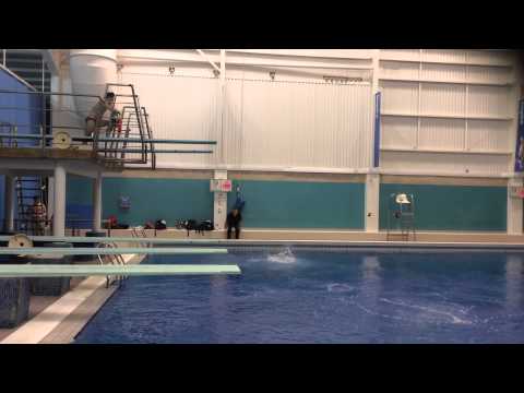 Jack  Laugher   NEW DIVE!!  5156B