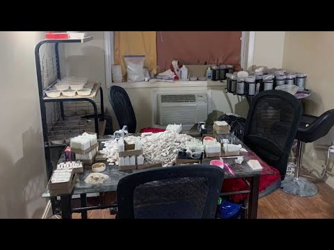 NYC Queens Drug Bust