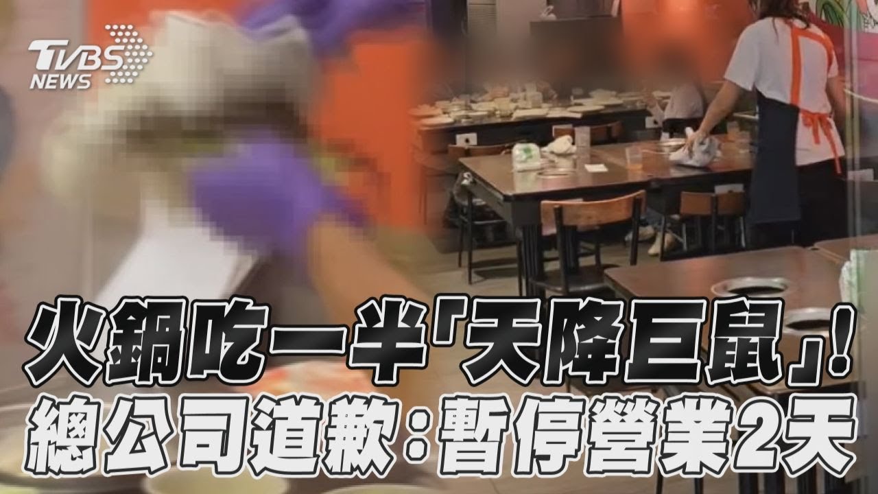 影音/火鍋吃一半「天降巨鼠」! 總公司道歉:暫停營業2天