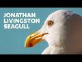 Jonathan Livingston Seagull  – Full Book Summary & Analysis