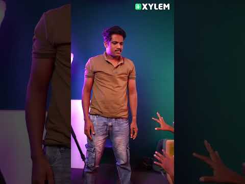 Christmas Exam - Social Science - Mega Marathon - Don't Miss it