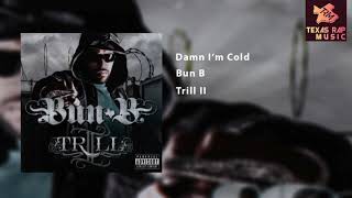 Damn I&#39;m Cold - Bun B
