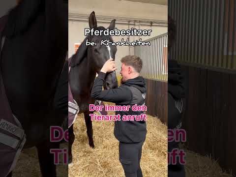 , title : 'Rufst du auch gleich den TA an?👨🏻‍⚕️😅 #pferd #reiten #horse #equestrian #pferde #short #shorts'