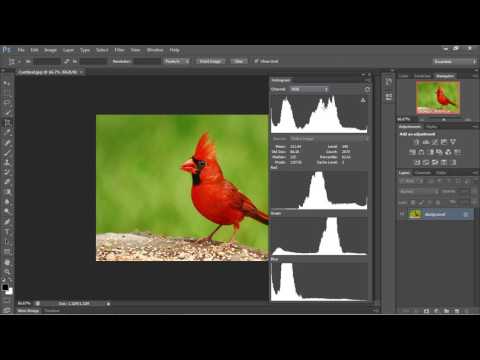Photoshop Tutorial for Beginners 01 Getting started with images