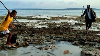 Download lagu Reckless! CHASE THE MOST FEARED AND DEADLY FISH, THE FISH ARE PILLED UP 😱 mp3