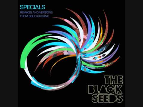 Black Seeds - Take Your Chances (Frost & Wagner Remix)